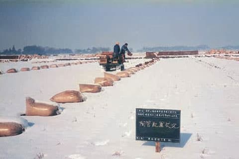 平成3年頃　積雪した中での作業（千葉県野田市にて）